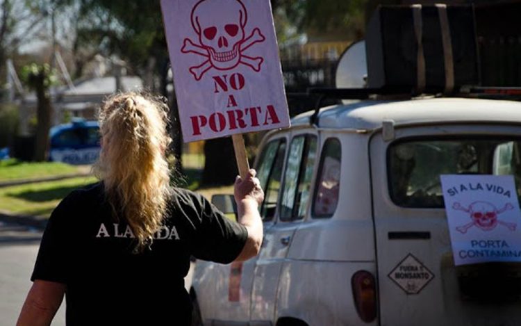 Vecinos de la zona sur reclaman la erradicación de Porta Hermanos