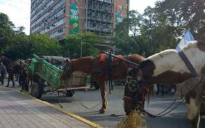 Carreros reclaman por mejores condiciones laborales
