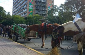 Carreros reclaman por mejores condiciones laborales