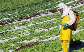 Organizaciones socio-ambientales exigen debate por la Ley de Agrotóxicos