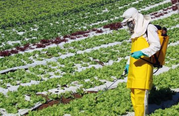 Organizaciones socio-ambientales exigen debate por la Ley de Agrotóxicos