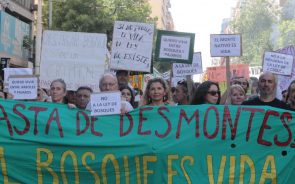 Reforma de la ley de bosques